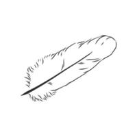 bosquejo del vector de la pluma de pájaro