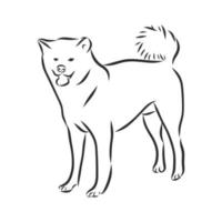 dog vector sketch