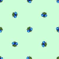 pattern with berries vector