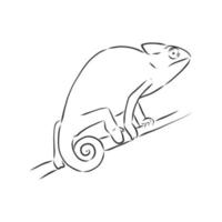 chameleon vector sketch