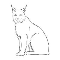 bosquejo del vector del lince