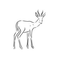 roe deer vector sketch