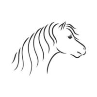 horse vector sketch