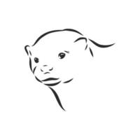 otter vector sketch