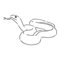 dibujo vectorial de serpiente vector