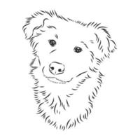 dog vector sketch