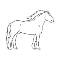 bosquejo del vector del caballo