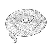 dibujo vectorial de serpiente vector