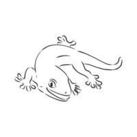 dibujo vectorial de lagarto vector