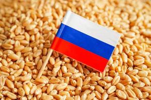 Russia on grain wheat, trade export and economy concept. photo