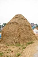 Close-up Of 1 Big Haystack photo