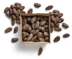 Cocoa beans on a white background. The view from the top photo