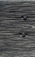 Wood texture. Surface of teak wood background for design and decoration photo