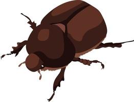escarabajo ciervo hembra vector