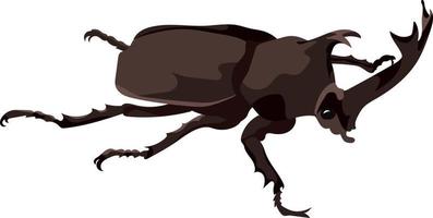 escarabajo ciervo macho vector