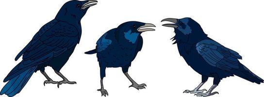 Black Crow Standing Set vector