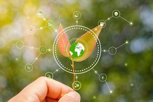 mano que sostiene la planta joven contra la naturaleza verde deja el fondo con iconos de fuentes de energía para el concepto de energía renovable, ecología y medio ambiente foto