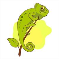 Cute chameleon on the branch vector illustration