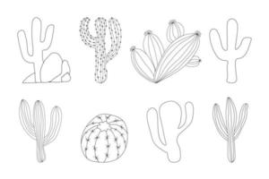 conjunto de cactus. conjunto de varios cactus. vector