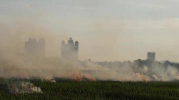 aprire il fuoco nel campo video