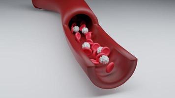 glóbulos rojos y glóbulos blancos en el torrente sanguíneo. investigación científica en medicina y biología, glóbulos rojos en vena o arteria, flujo dentro de un organismo vivo. foto