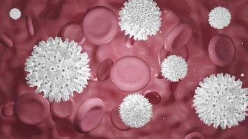 glóbulos rojos y glóbulos blancos en el torrente sanguíneo. investigación científica en medicina y biología, glóbulos rojos en vena o arteria, flujo dentro de un organismo vivo.