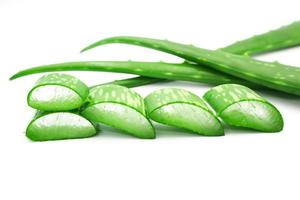 Fresh Aloe vera sliced isolated on white background. photo