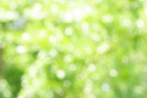 Abstract blurred nature green bokeh background. photo