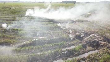 Open fire at the field release white smoke cause pollutant. video