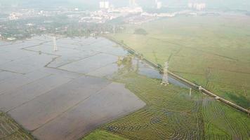 vuelo aéreo sobre el campo de arroz con la mitad inundado de agua video