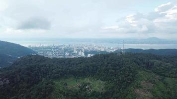 vista aérea plantação verde e torre de telecomunicações na floresta. video