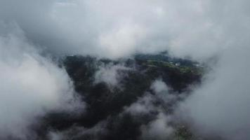 Aerial misty landscape at tropical rainforest at Bukit Bendera video