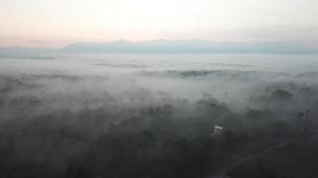 mer de nuages dans la zone rurale de karangan, kedah, malaisie le matin. video