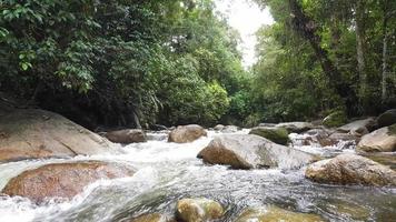 Beautiful scenery of forest with stream and rock. video