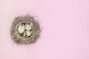 Happy Easter. Beautiful colorful quail eggs in bird nest on light blue background, close up. Copy space for text, flat lay. Minimal Easter composition. Springtime. photo