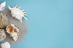 Summer composition. tropical palm leaves, seashells on blue background. Summer concept. Flat lay, top view, copy space photo