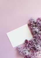 Lilac flowers on color background. Spring is coming concept. Text space. Mock up. photo