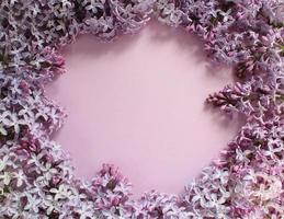 Lilac flowers on color background. Spring is coming concept. Text space. Mock up. photo