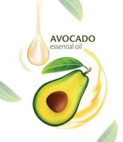 Avocado essential oil Natural Skin Care Cosmetic vector
