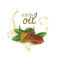 Ilustración de vector cosmético natural para el cuidado de la piel de jojoba