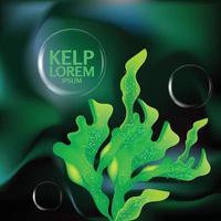 fresh Kelp seaweed salad sea food vector Illustration