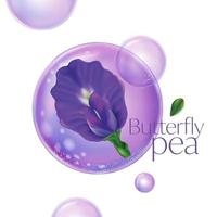 Packaging products Butterfly pea hair care design Bottles of shampoo. vector