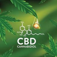 marihuana, ilustración de vector de hoja de cannabis, aceite de esencia natural