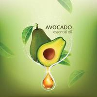 Avocado essential oil Natural Skin Care Cosmetic vector