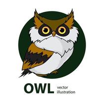 Owl, vector illustration on white background