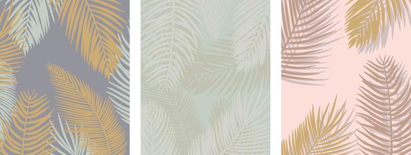 summer exotic backgrounds with palm branches