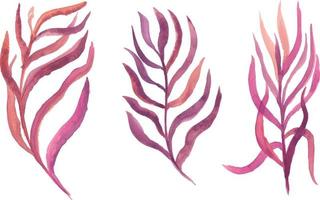 watercolor twigs with leaves of different colors vector isolated elements.