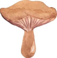 watercolor mushroom with wavy cap vector isolated hand drawn