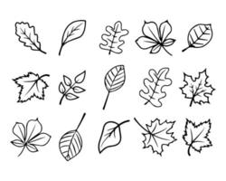 conjunto de hojas de árbol de contorno dibujadas a mano, arte de línea. hojas de otoño para colorear, ilustración, vector