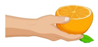 man treats friend with half ripe juicy orange. Summer fruits and vitamins. Sweet treat for children. Cartoon vector on white background